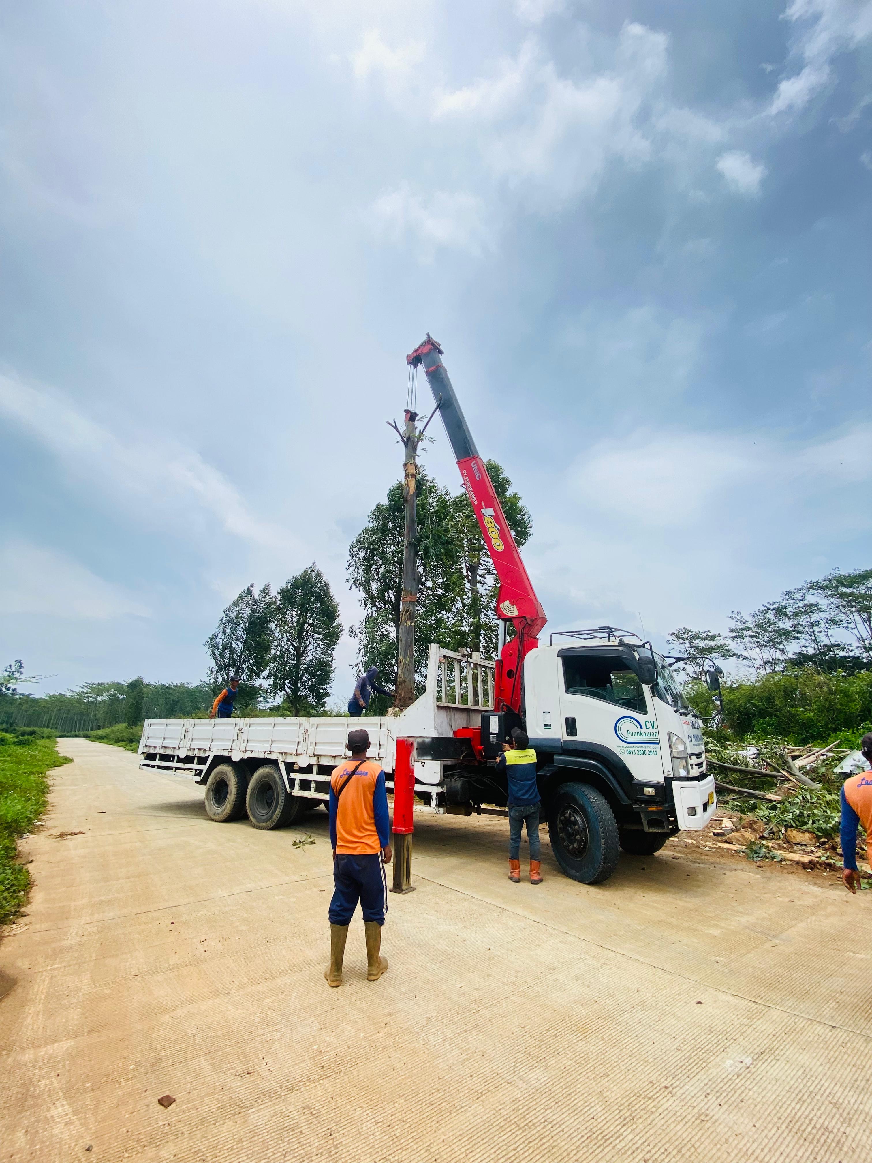 Tmc crane 10 ton langsir pohon - CV. Sakti Trans Nusantara